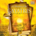 Mahalakshmi Iyer - Lakshman Gayatri