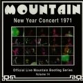 mountain - Guitar Solo (Live)
