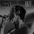 Iggy Pop - CC Rider