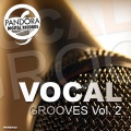 Dj Pedro Costa、James Noyer、David Miks - Vocals from the Sky (Original Mix)