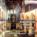 Feodor Stroganov - Largo E Spiccato