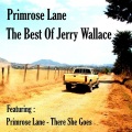JERRY WALLACE - Songwriter's Love Song