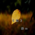 NJ玄书 - 心痕