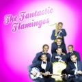 the flamingos - Someday Someway