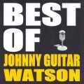 Johnny Guitar Watson - I Love to Love You