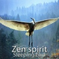 Zen Spirit - Free Smile