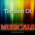 High School Music Band - Singin' In the Rain