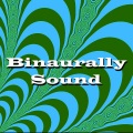 Binaural Beats Brainwave Entrainment - Hollow Wood Rattle