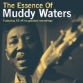 Muddy Waters - Baby Please Don't Go