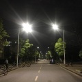 树树树先生 - 姑娘 今夜我不想睡觉 只想睡你