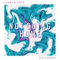 Big Z. - Not Going Home (Big Z Remix)