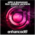 Steve Allen、Apek、Shanahan、Andrew Jackson - Broken Souls (Steve Allen Remix)