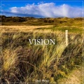 Chris Henry - Vision