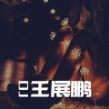 王展鹏 - 出卖 (DJ版)