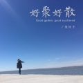 高兴 - 六年之理想再现