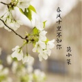 莫小菜 - 情丝
