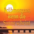 Orchester Gert Wilden - Santa Barbara