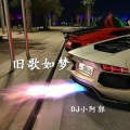 DJ小阿郭 - 有钱你就使劲嗨,没钱你**活该