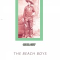 The Beach Boys - Louie Louie