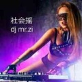 DJ Mr.Zi - 偷心的贼 (DJ)