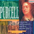 Academy of St. Martin in the Fields Orchestra、Neville Marriner - Act I: Dance for the Fairies