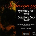 Silesian Philharmonic Orchestra、Karol Stryja - V. Lebhaft