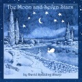 David Spalding Sharp - The Looking Glass