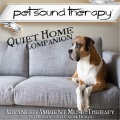 Pet Sound Therapy - Companion Mine