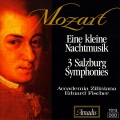 Accademia Ziliniana、Eduard Fischer - I. Allegro