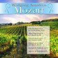 Libor Pešek、Slovak Philharmonic Orchestra、Wolfgang Amadeus Mozart、Various Artists - II. Andante