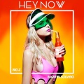 Big Z. - Hey Now (Big Z Remix)