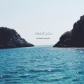 Arrient、Ember Island - Need You (Arrient Remix)