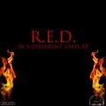 R.E.D. - We Got This Feeling