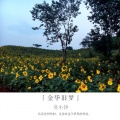 莫小铮、陈小雅· - 心心之念