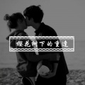 王展鹏 - 樱花树下的重逢