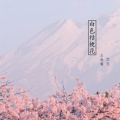 王晓瑾、恋恋 - 白色桔梗花 (伴奏)