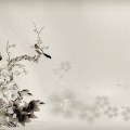 Arealy - China-L