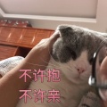 禾几木泽丁 - 藏进夜里，躲在光下