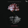 Anya Marina - How Far Does the Dark Go?