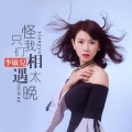 李敏儿 - 只怪我们相遇太晚