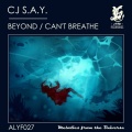 Cj S.a.y. - Beyond (Original Mix)