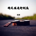 赵越 - 将民谣进行到底