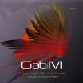 Gabi M - Incoming