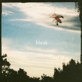 Bleak - Hatred of the Natural