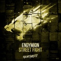 Endymion - Street Fight (Original Mix)(Remix)