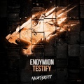 Endymion - Testify (Original Mix)(Remix)