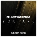 Fellow & Friends - You Are (CJ Stone Remix)