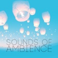 Outside Broadcast Recordings - Birds in Spray