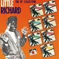 Little Richard - She's Got It