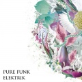 Purefunk - Elektrik - Pure Funk (Mr Groove and Vergas )(Remix)